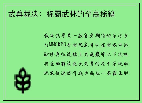 武尊裁决：称霸武林的至高秘籍